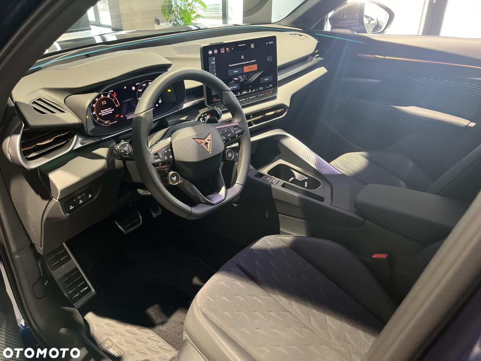 Cupra Terramar - 9