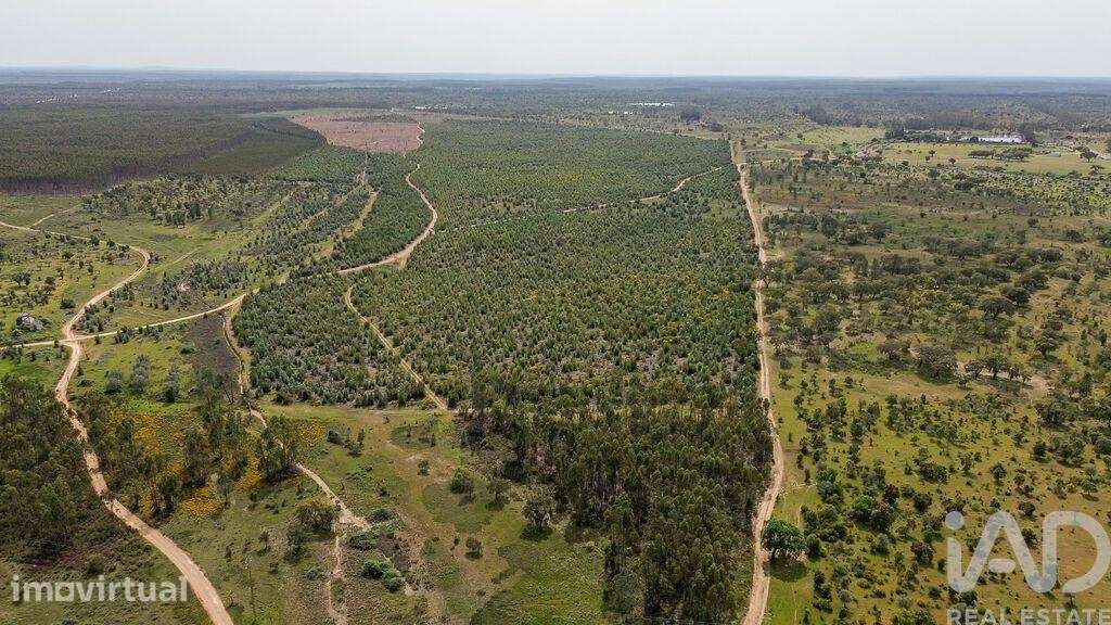 Terreno Agrícola em Bemposta - Grande imagem: 3/31