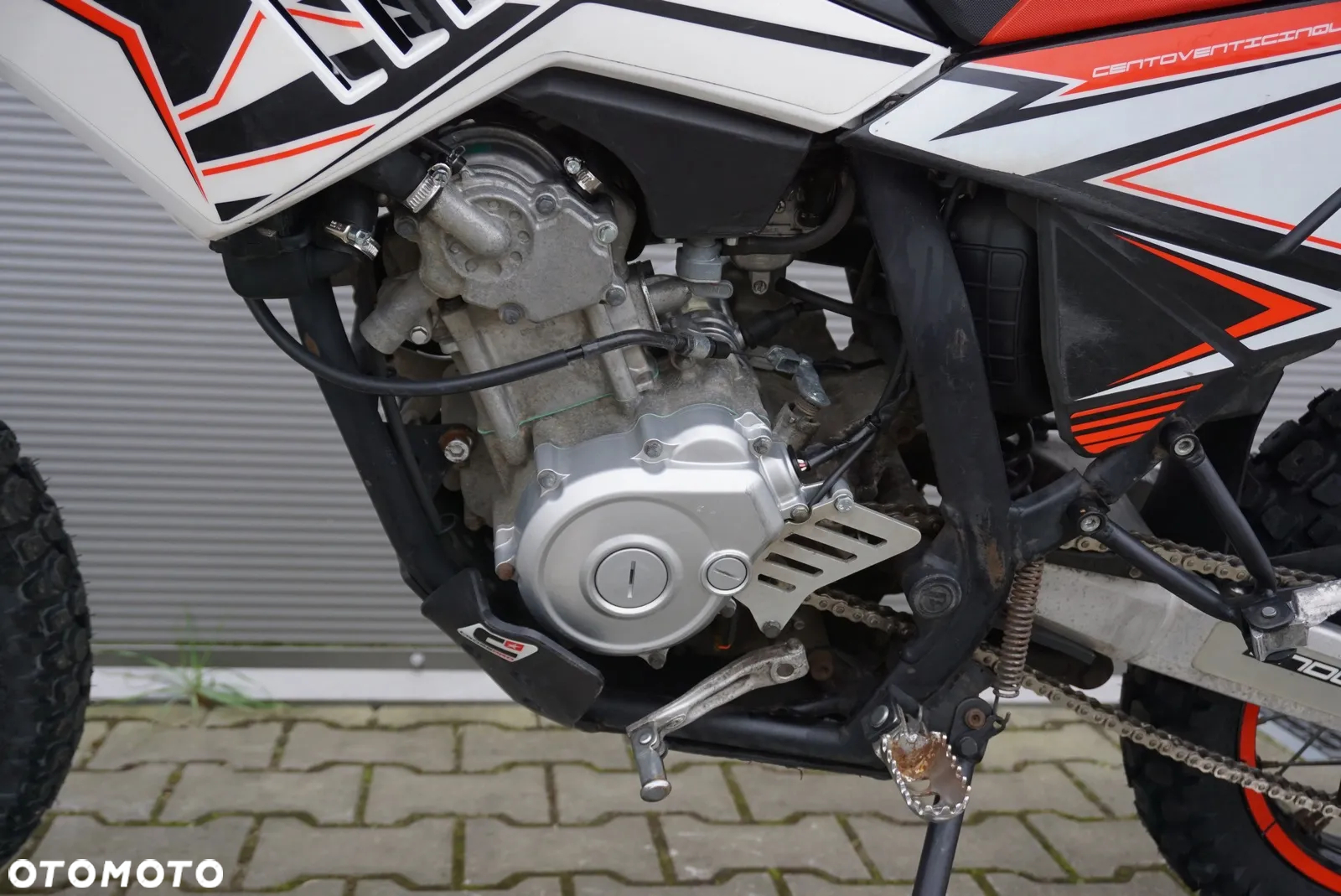 Beta RR - 11