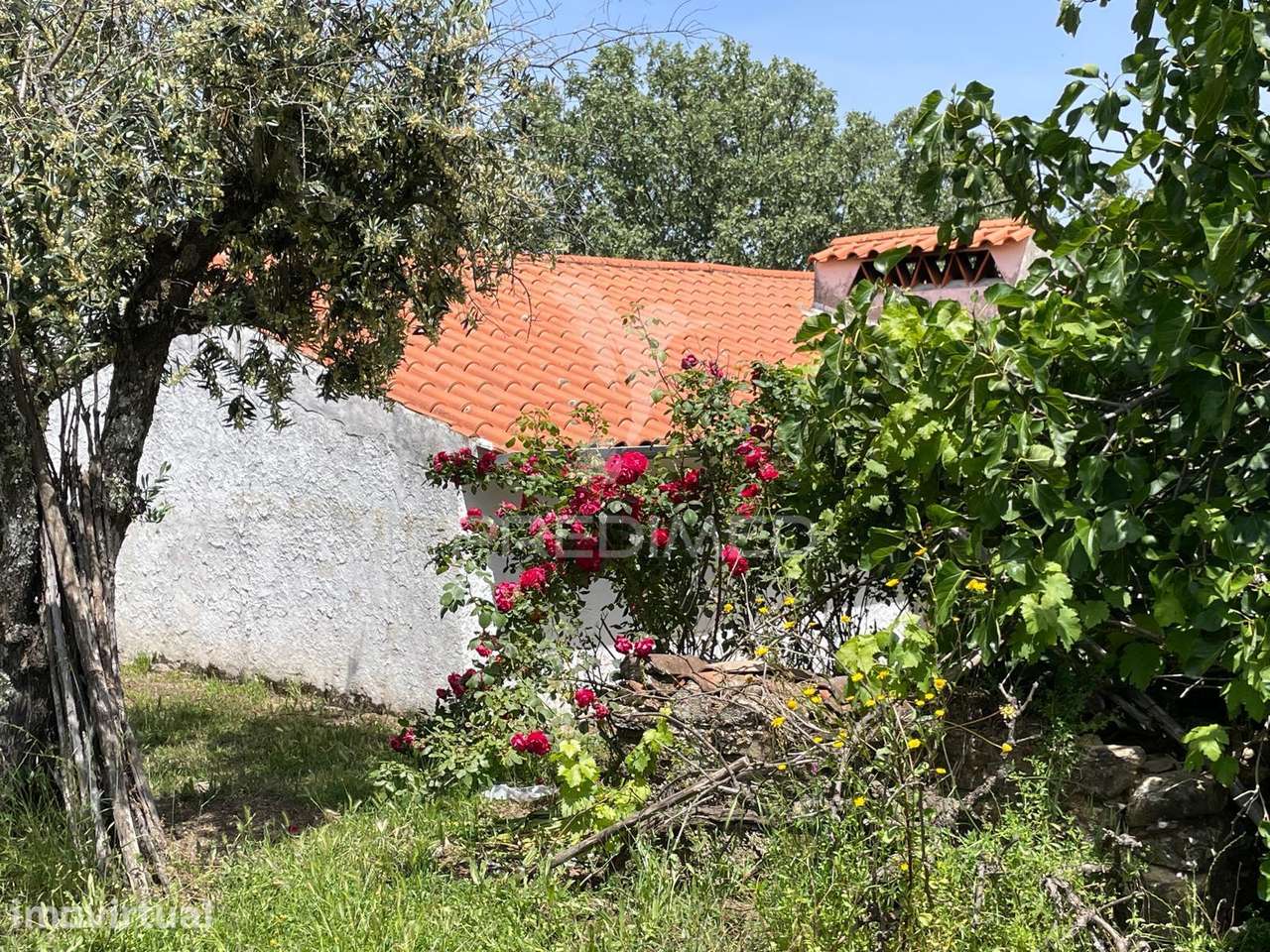 Moradia T4 à venda em Ribeira de Nisa e Carreiras, Portalegre — foto 3