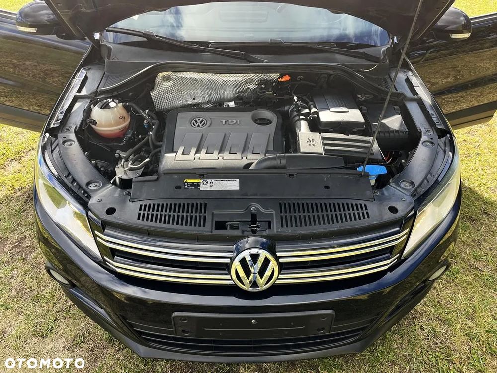 Volkswagen Tiguan - 11