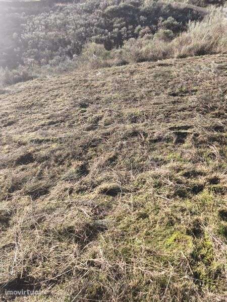 Terreno rústico em Moncorvo - Grande imagem: 2/8