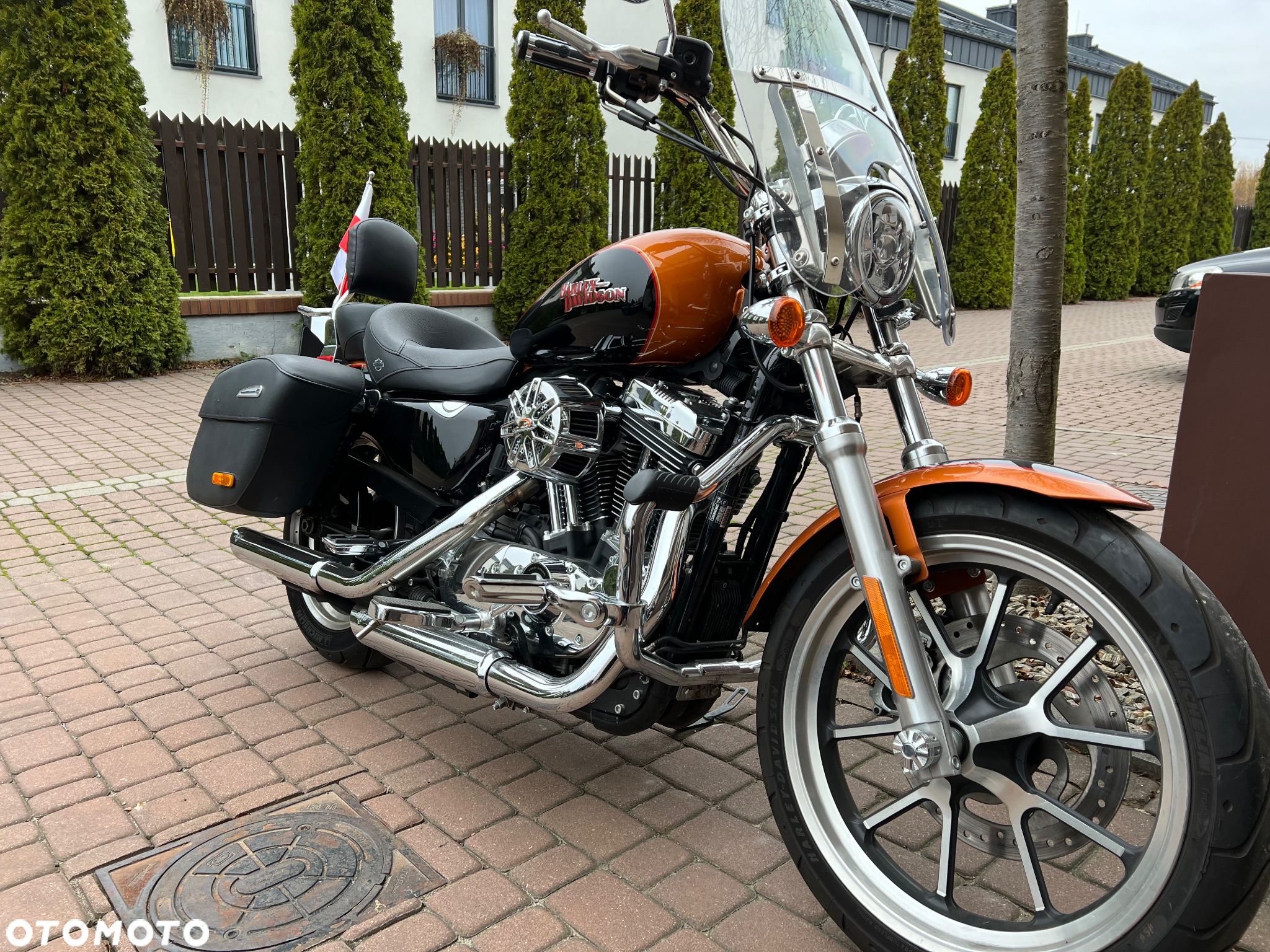 Harley-Davidson Sportster Superlow - 2