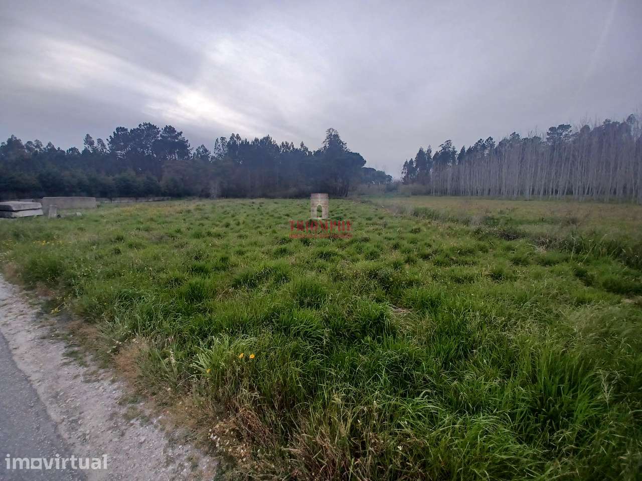 Terreno Rústico C/Poço 1.716m2 Amor Leiria - Grande imagem: 2/10