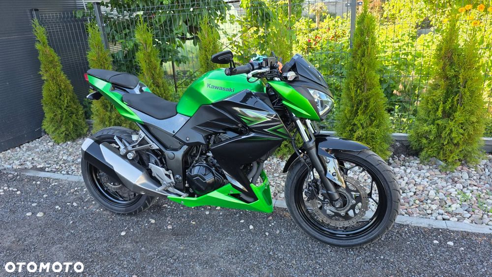 Kawasaki Z - 6