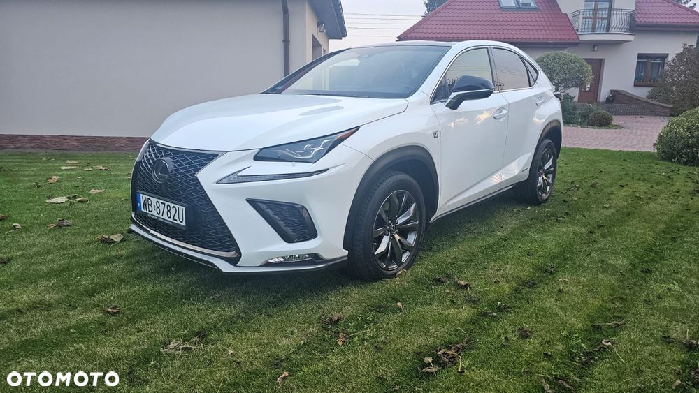 Lexus NX 300h F Sport Edition AWD - 16