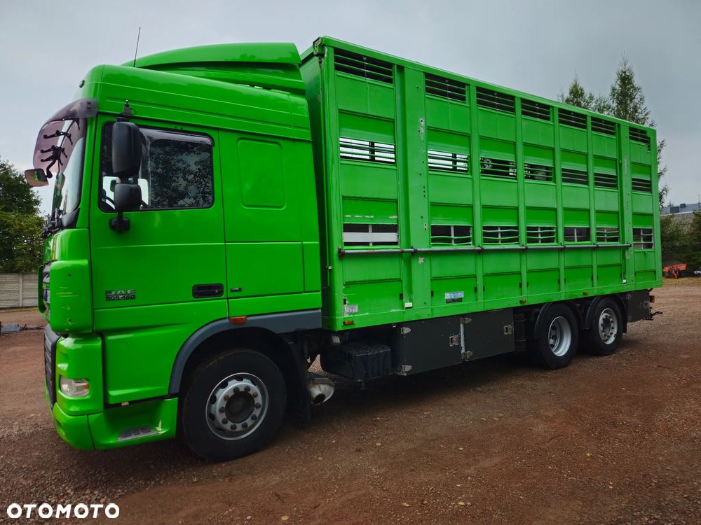 DAF xf 105 460 - 18