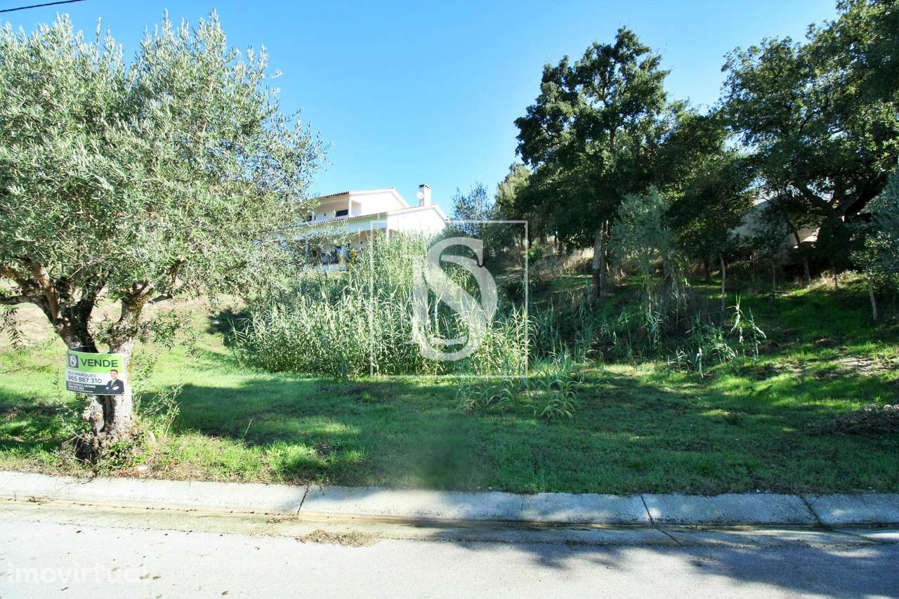 Terreno  Venda em Nossa Senhora da Piedade,Ourém - Grande imagem: 4/4