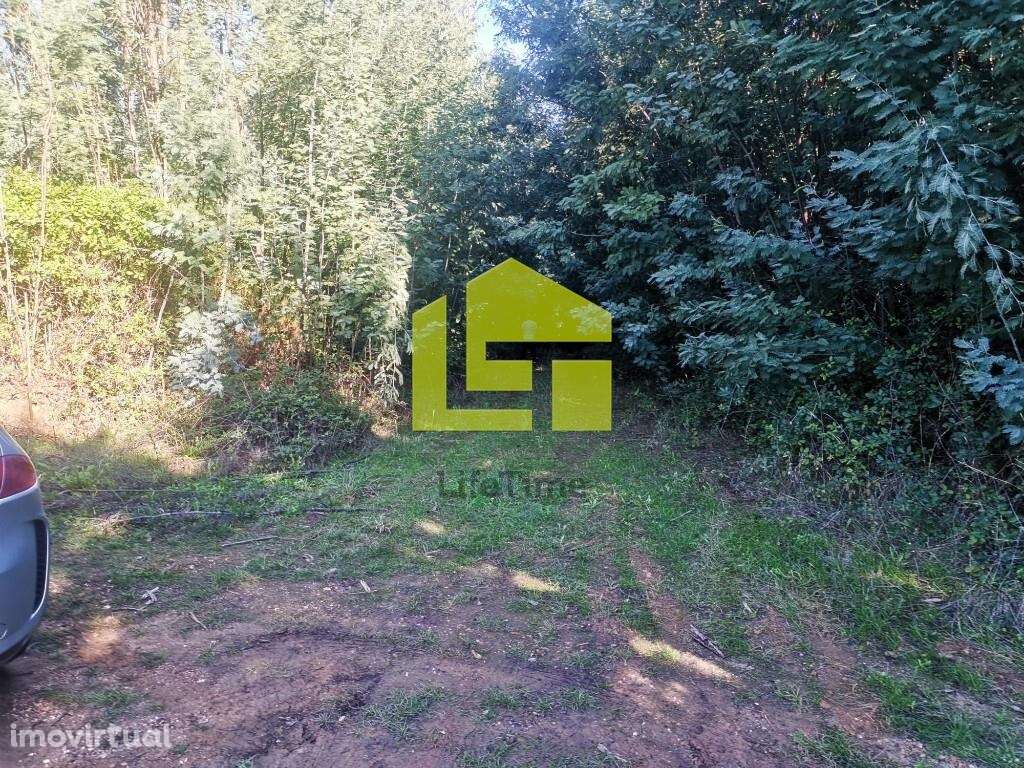 Comércio em Serpins junto Estação Metro - Grande imagem: 2/5