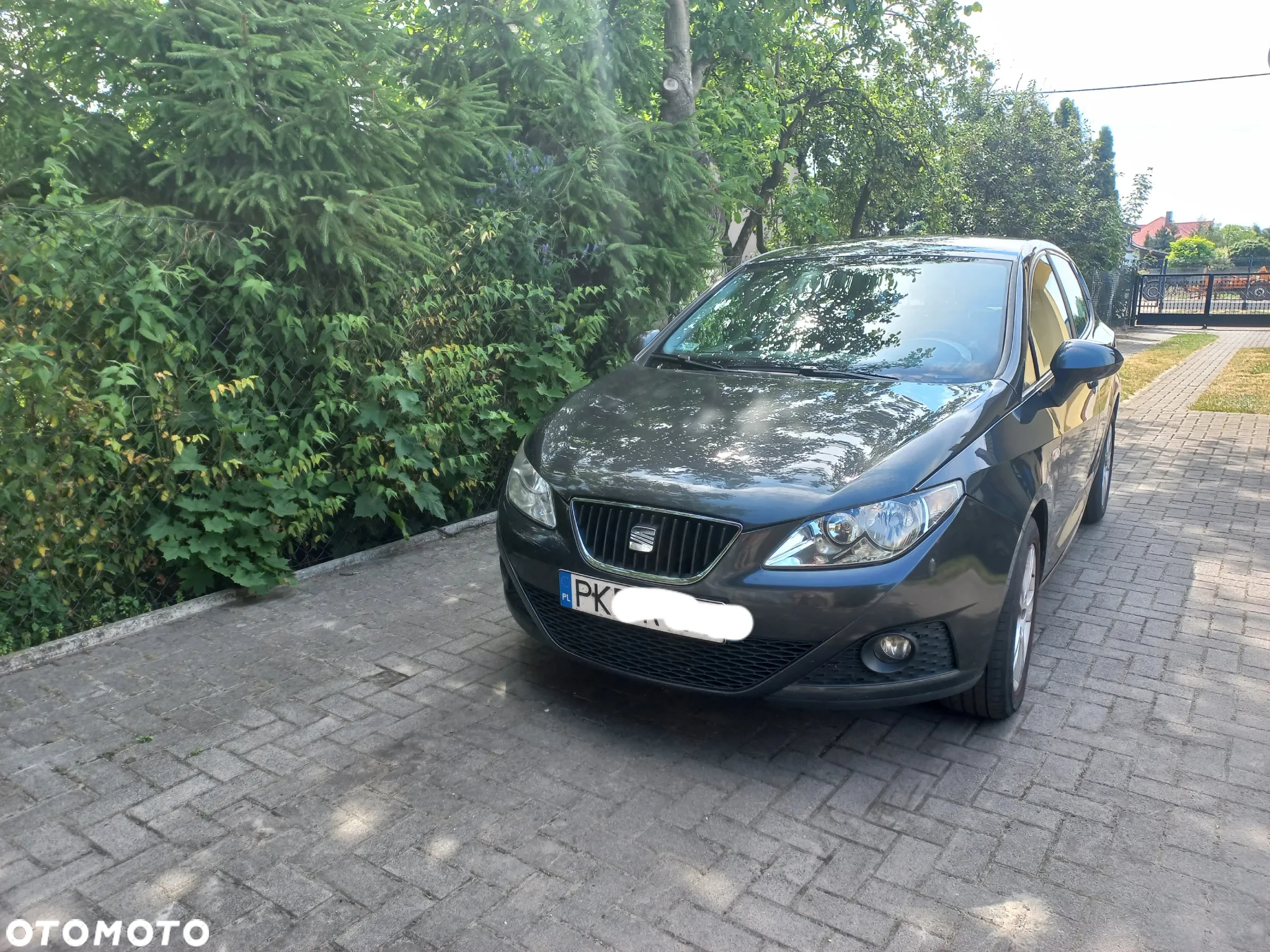 Seat Ibiza 1.9 TDI DPF Sport - 3