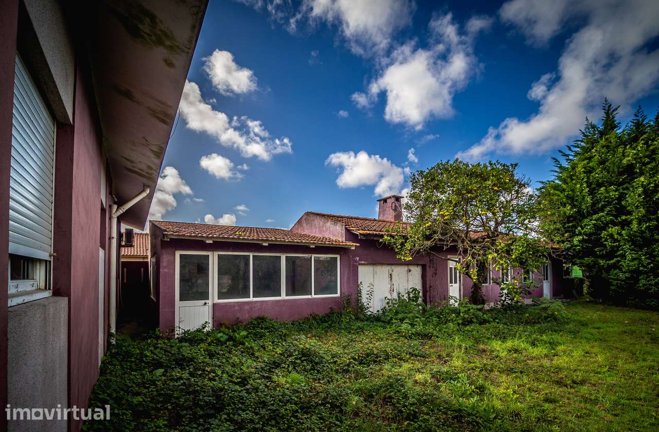 Moradia T3 com anexos, jardim, pomar e acessibilidade - Grande imagem: 5/31