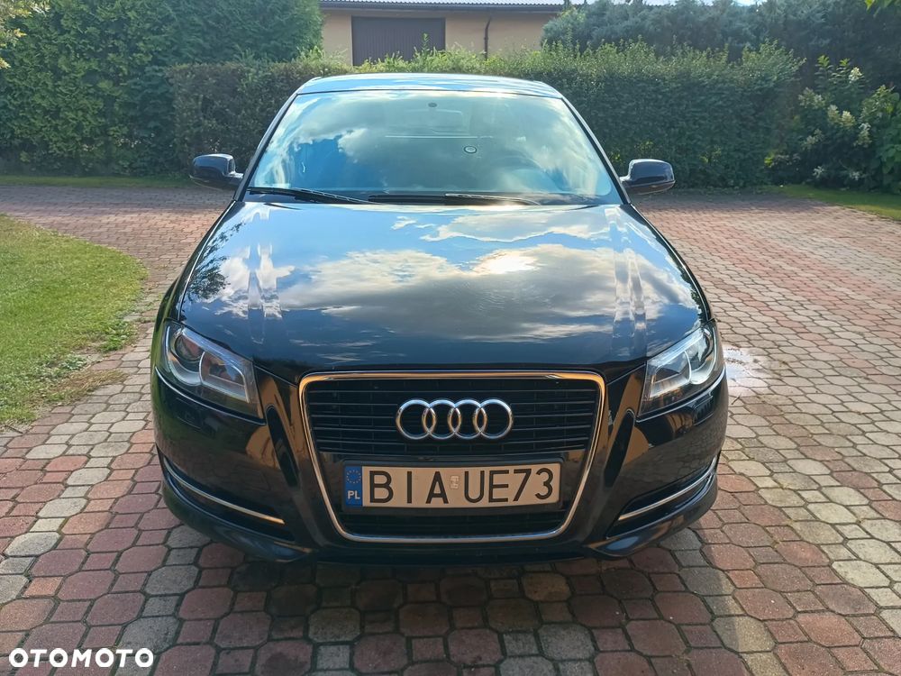 Audi A3 1.6 Limited Edition - 2
