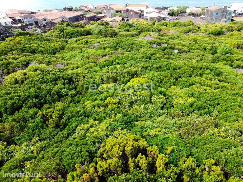 Terreno para construção com privacidade e vista Mar e Montanha - Grande imagem: 3/15