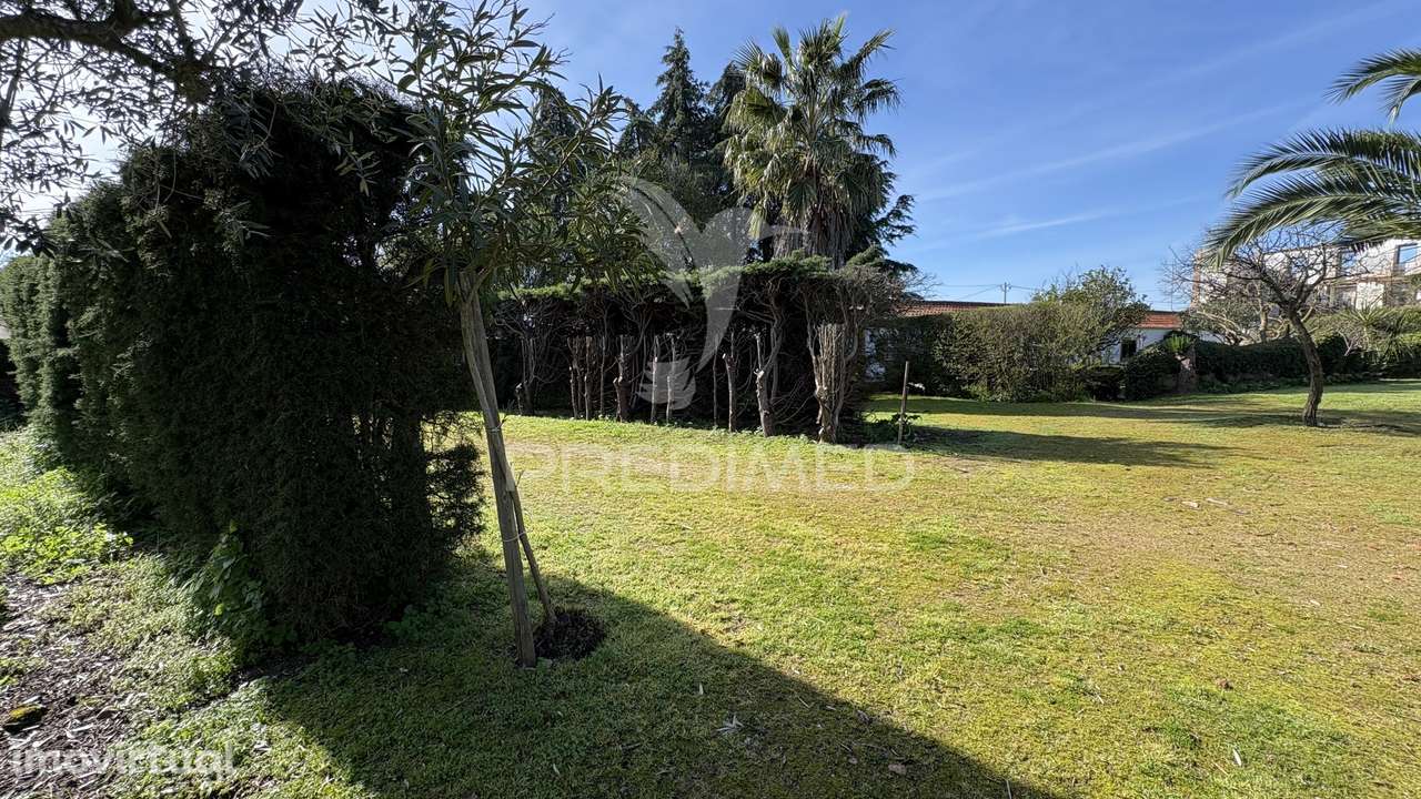 Quinta Rústica para Venda em Montalvo – 12 Hectares de Oportunidade - Grande imagem: 3/24