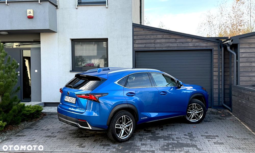 Lexus NX - 10