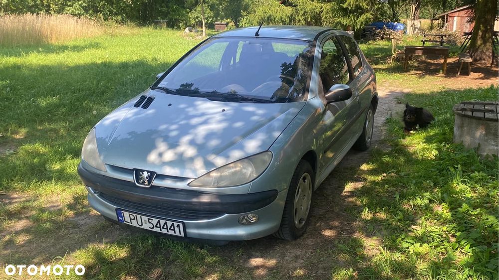 Peugeot 206 - 1