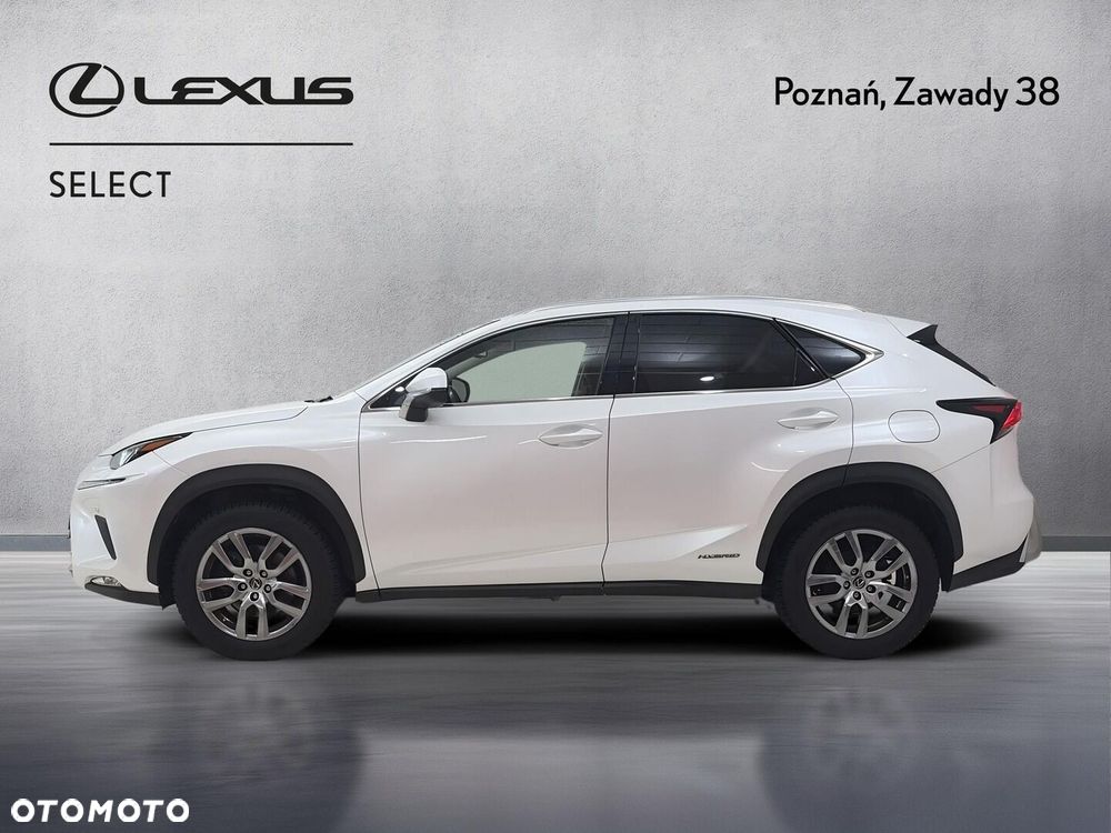 Lexus NX 300h Business Edition AWD - 6