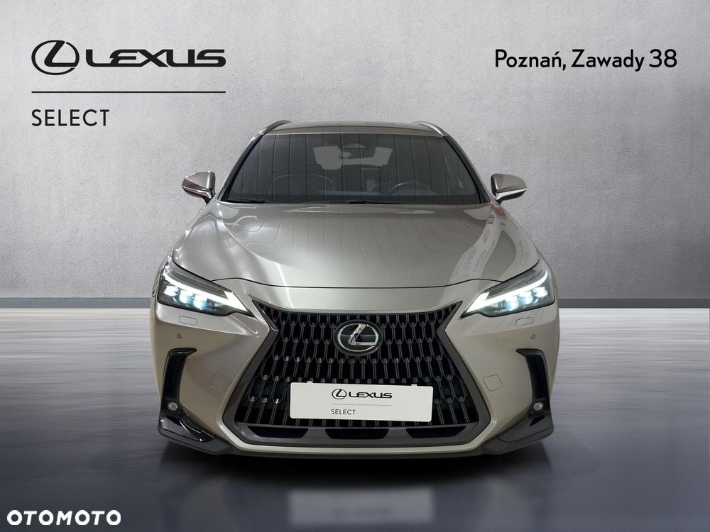 Lexus NX - 6