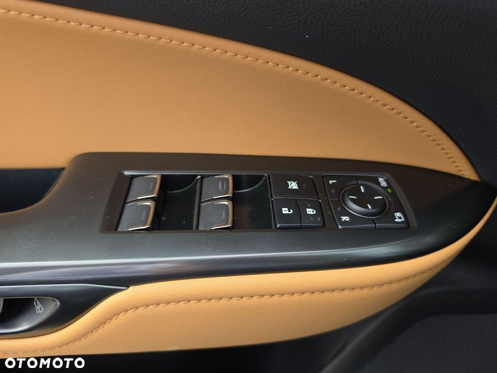 Lexus NX - 19