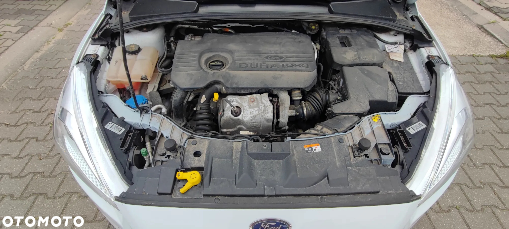 Ford Focus 1.5 TDCi DPF Start-Stopp-System Trend - 12