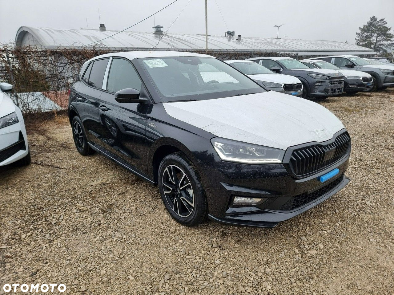 Skoda Fabia - 3