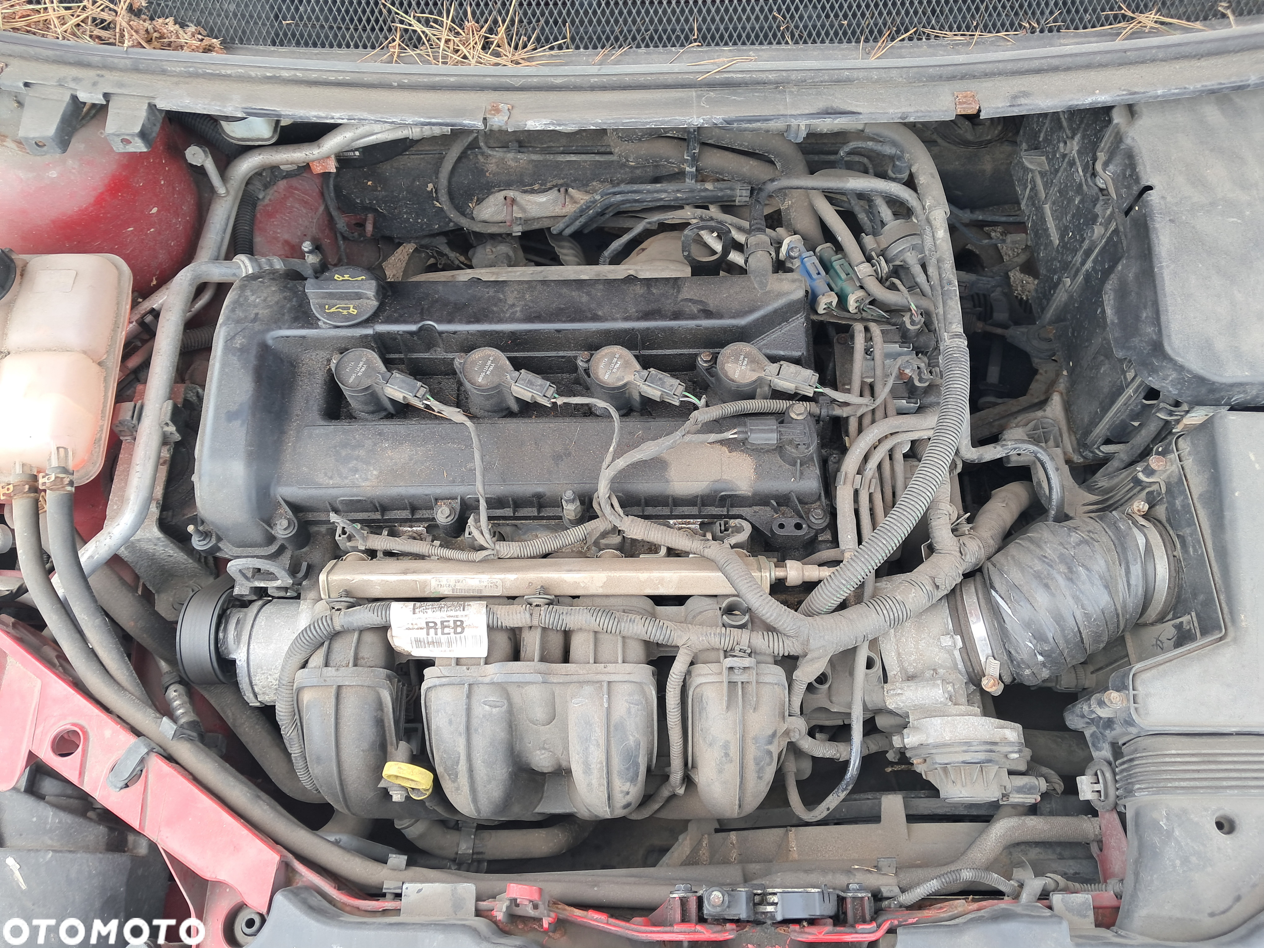 DAWCA CZĘŚCI FORD FOCUS MK2 CC CABRIO 2007 2.0 16V AODA KL H7 - 5
