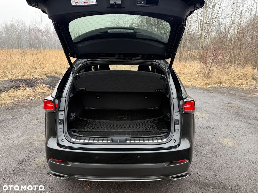 Lexus NX 300 F Sport AWD - 14