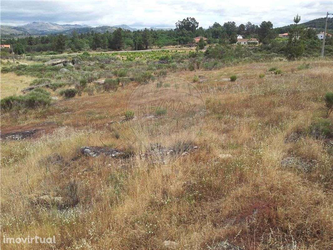 Quinta T0 para venda - Grande imagem: 2/17