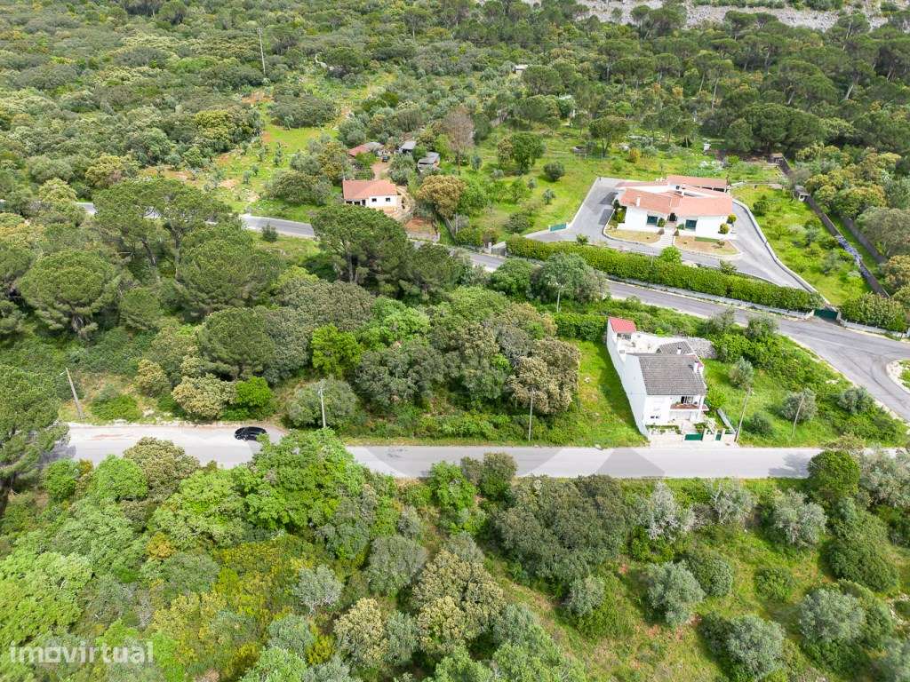 Lote para construção na Vila de Minde - Grande imagem: 3/6