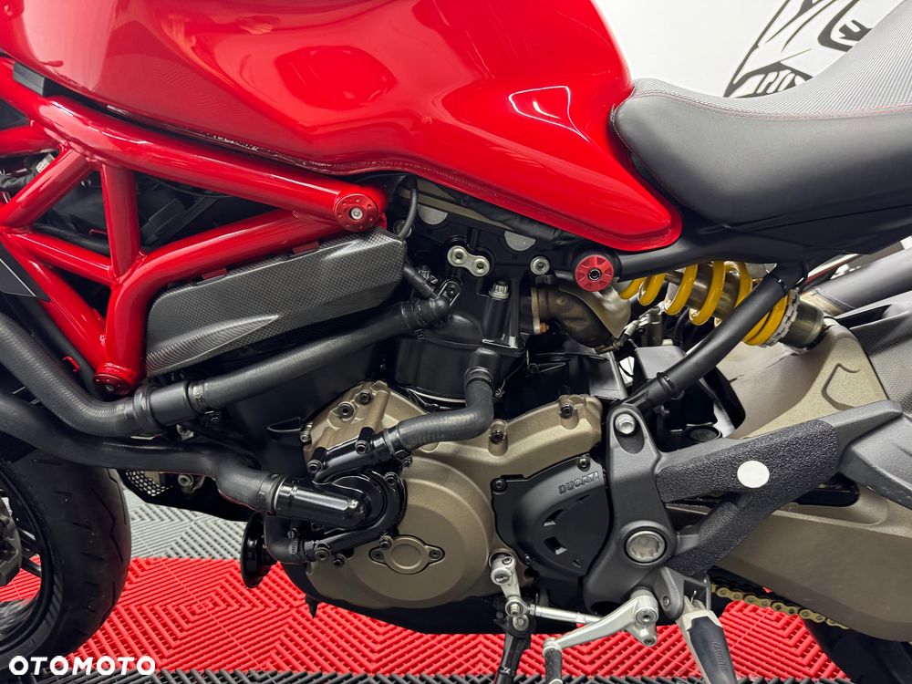 Ducati Monster - 19
