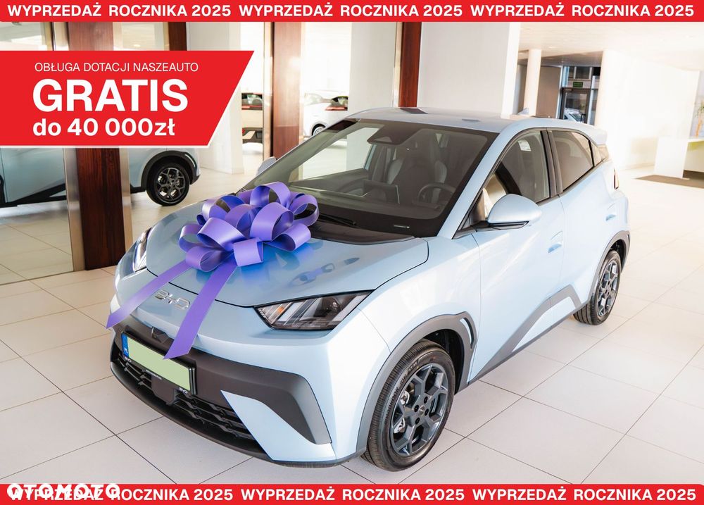 BYD Dolphin Surf - 1