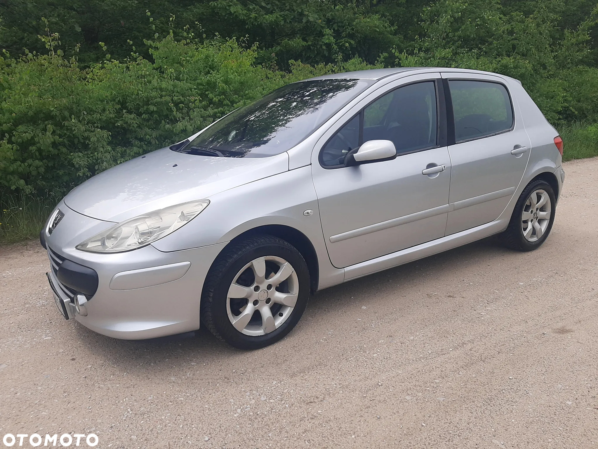 Peugeot 307 2.0 Premium - 2