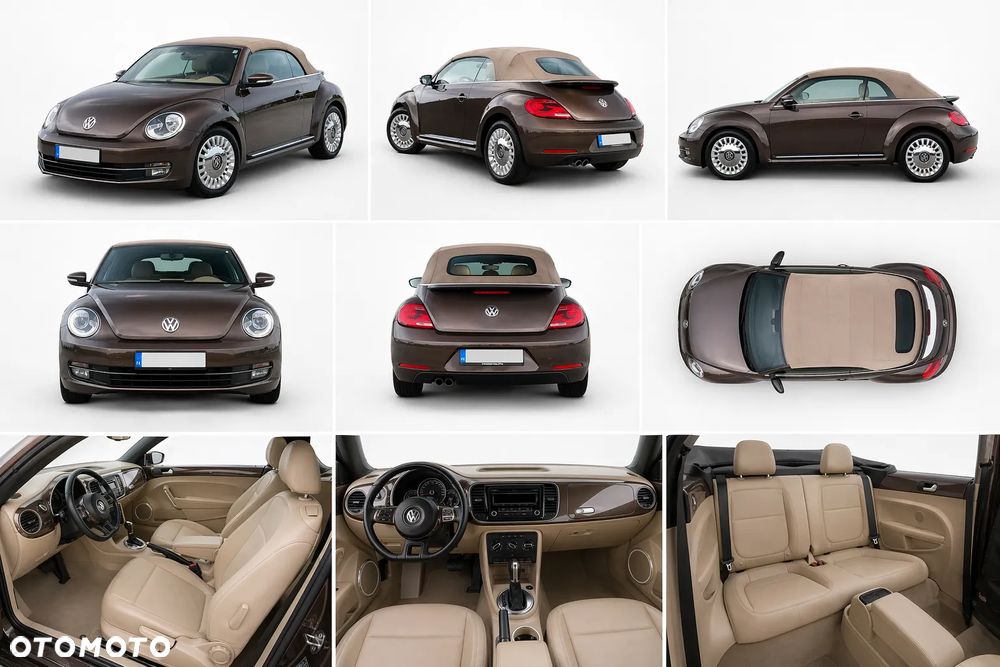 Volkswagen Beetle - 10