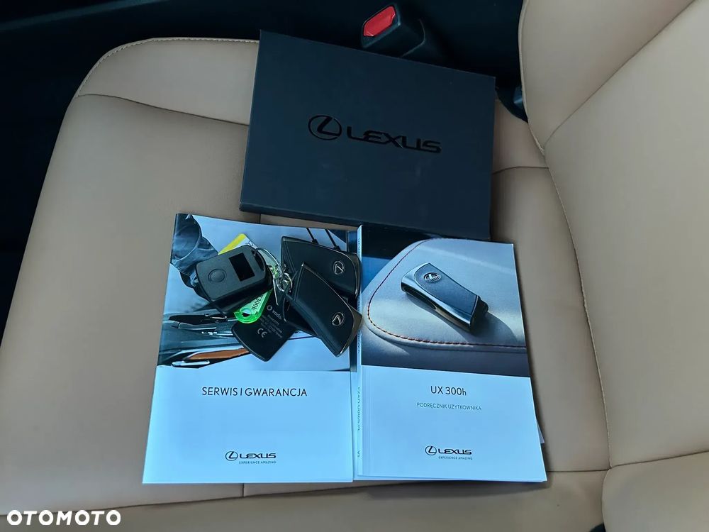 Lexus UX 300h F Sport Design - 40