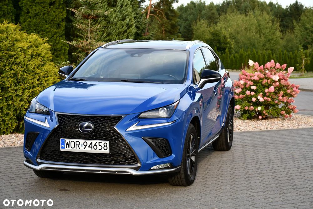 Lexus NX 300h E-FOUR F SPORT - 2