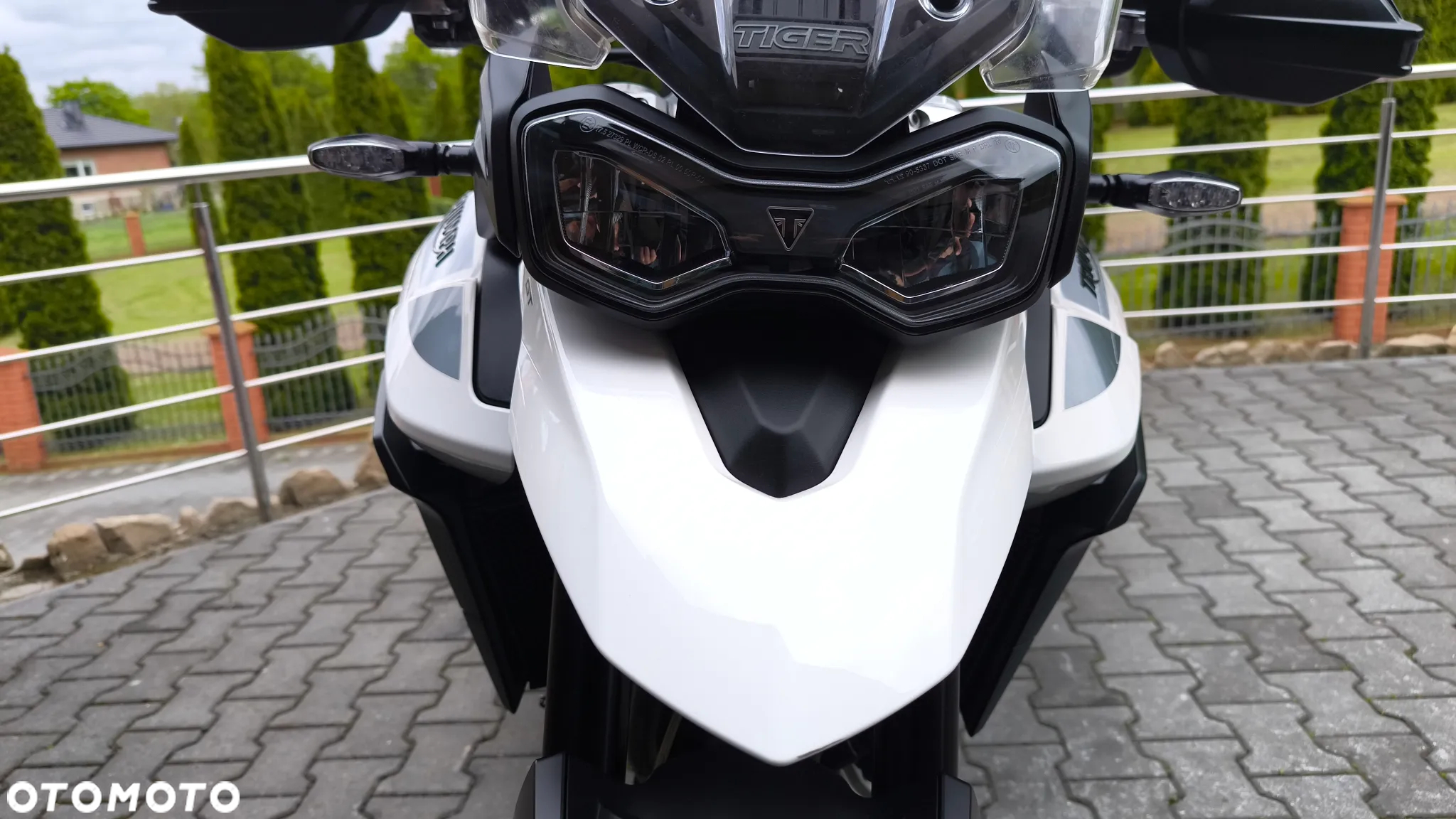 Triumph Tiger - 28