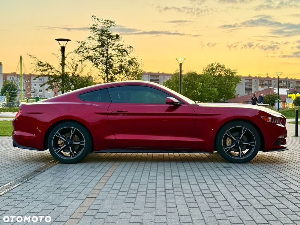 Ford Mustang - 9