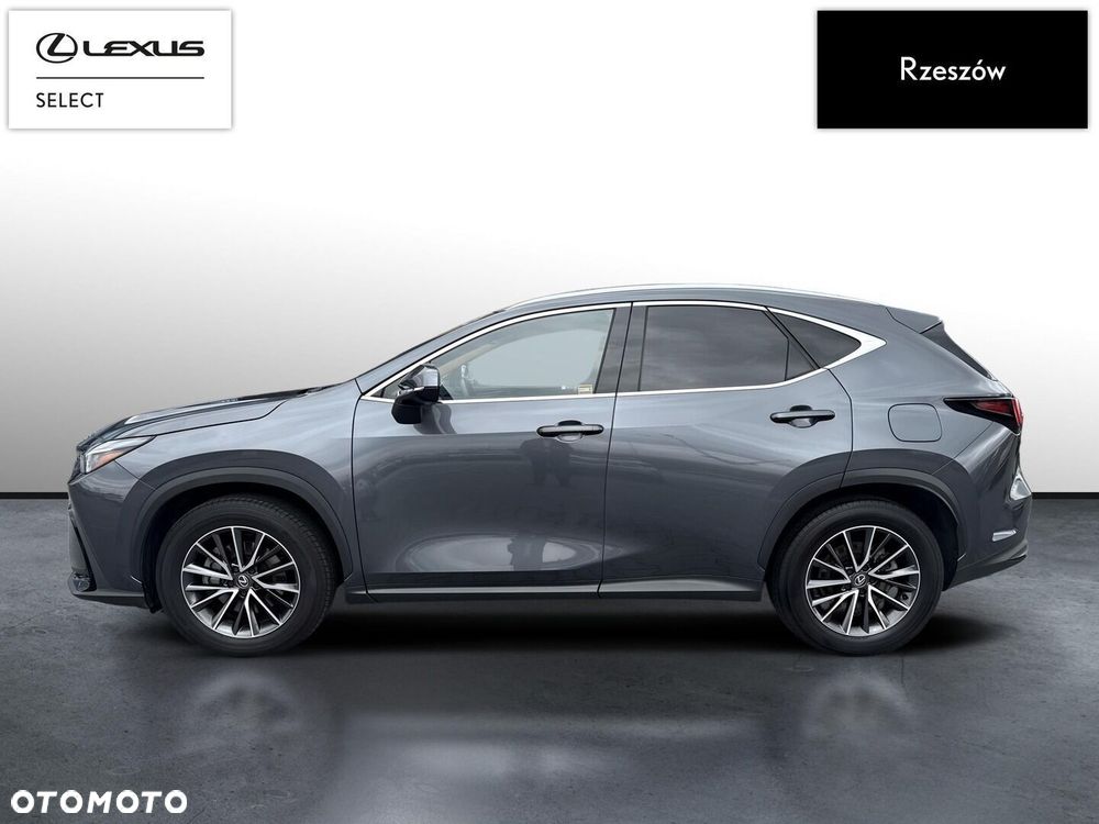 Lexus NX 350h Prestige AWD - 2