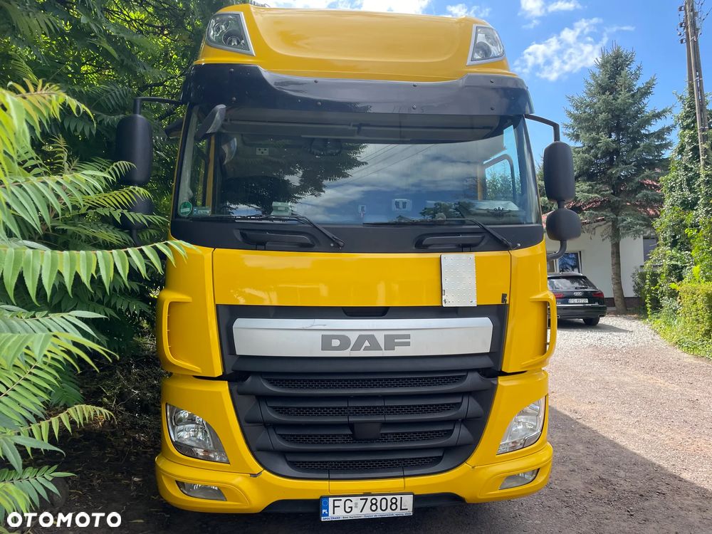DAF CF 310 - 2