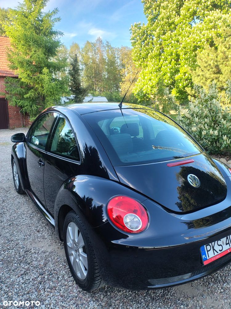 Volkswagen New Beetle 1.4 - 16