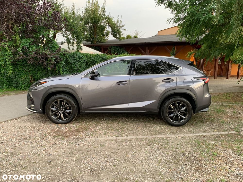 Lexus NX 300 F Sport AWD - 14