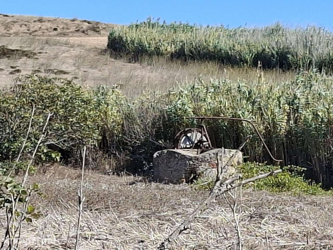Terrenos Rústicos com 10.760 m2, Raposeira – Vila do Bispo - Grande imagem: 4/30