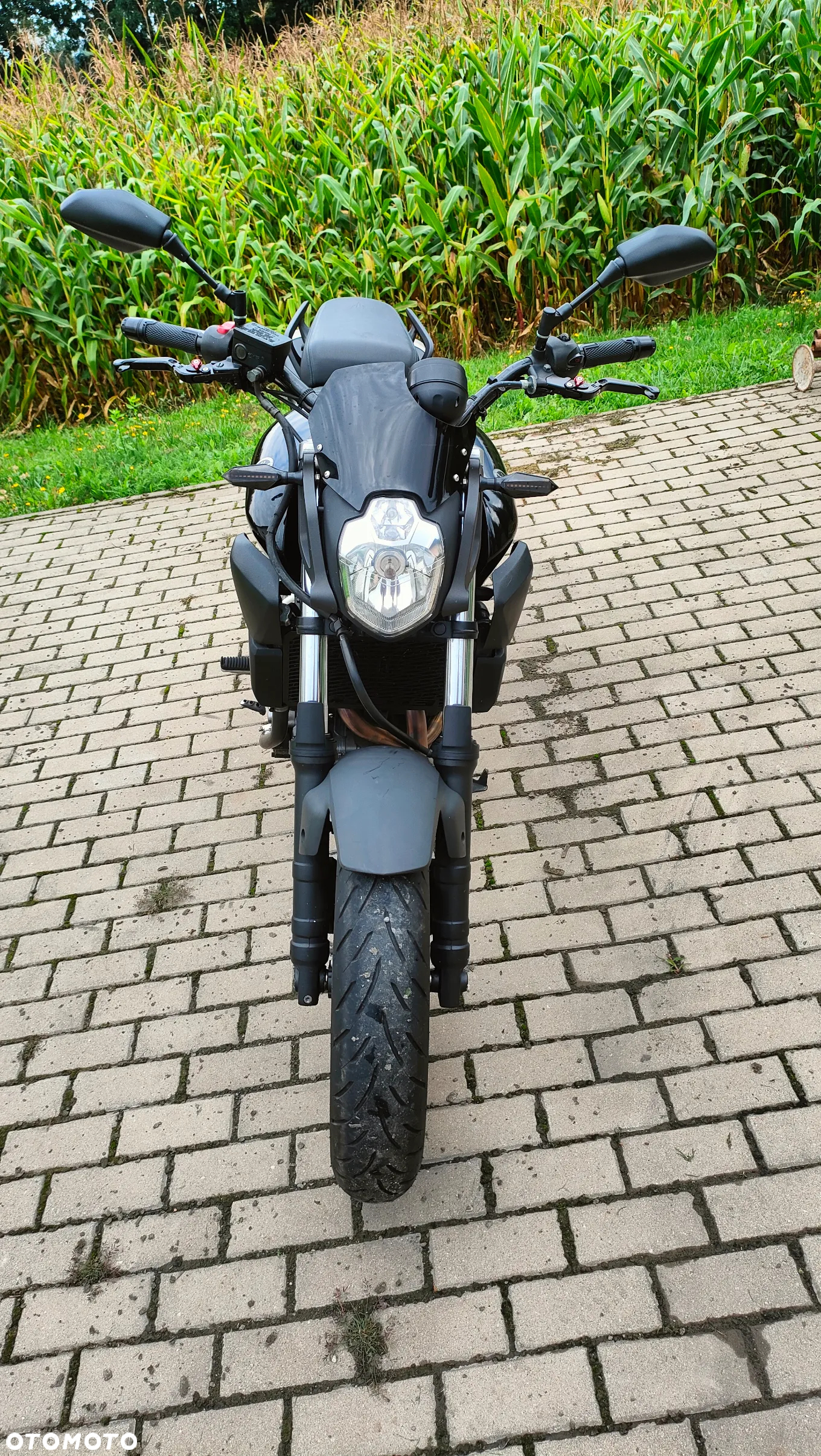 Yamaha MT - 6