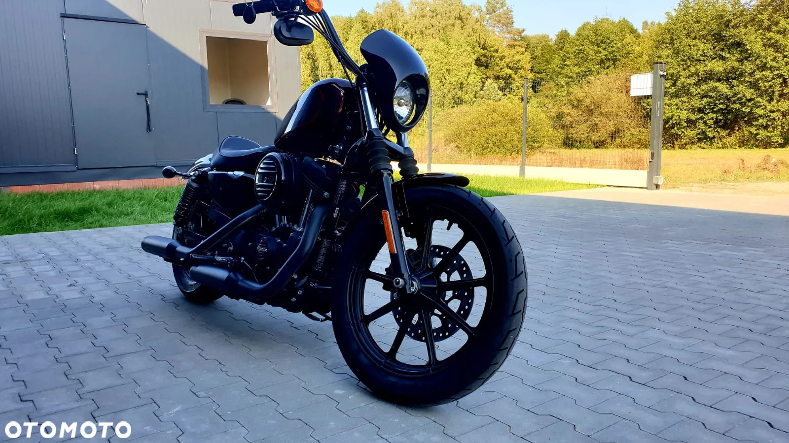 Harley-Davidson Sportster Iron 1200 - 6