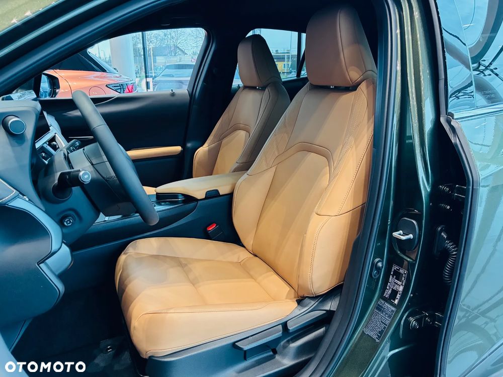 Lexus UX 300h F Sport Design - 10