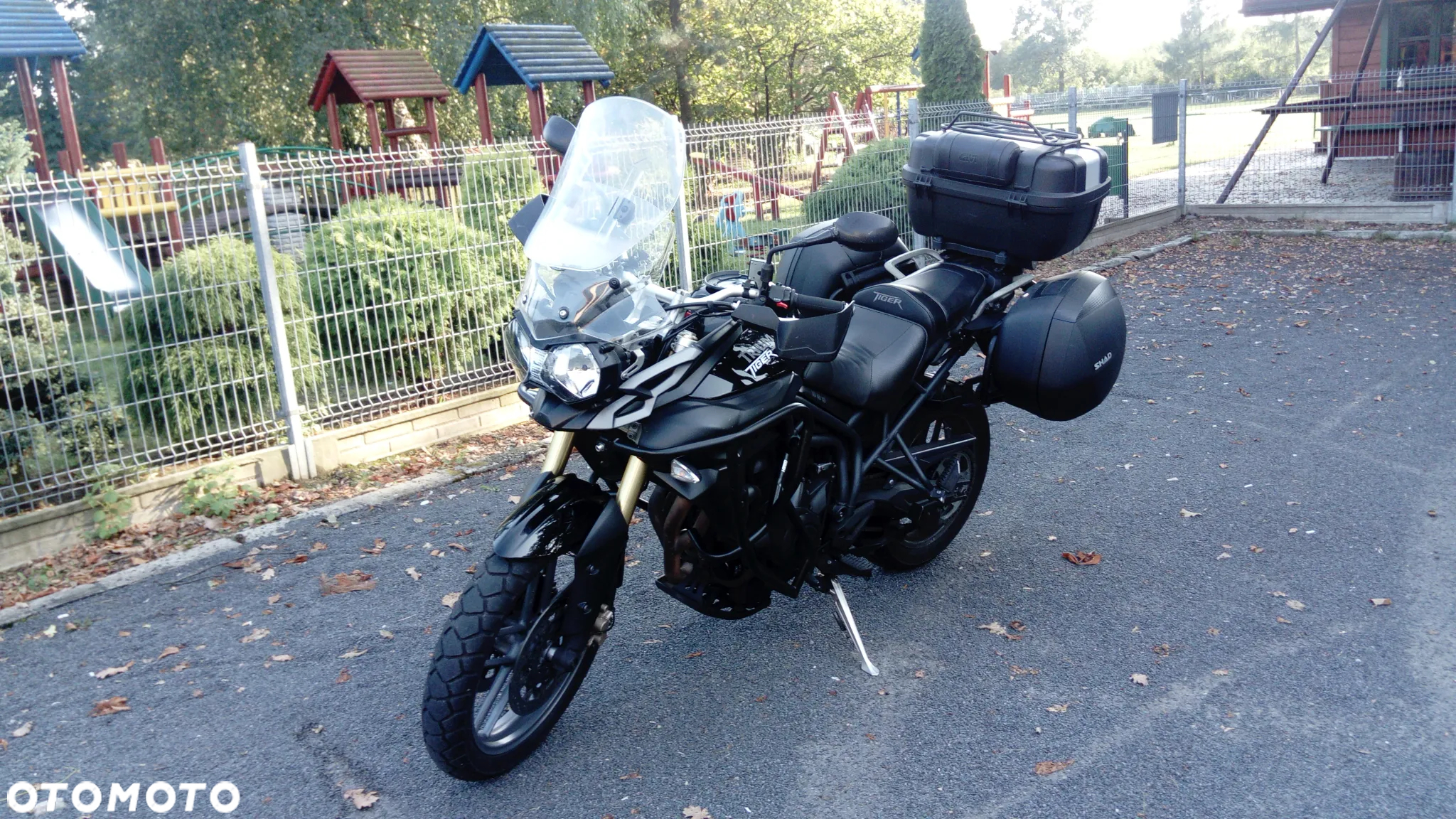 Triumph Tiger - 3