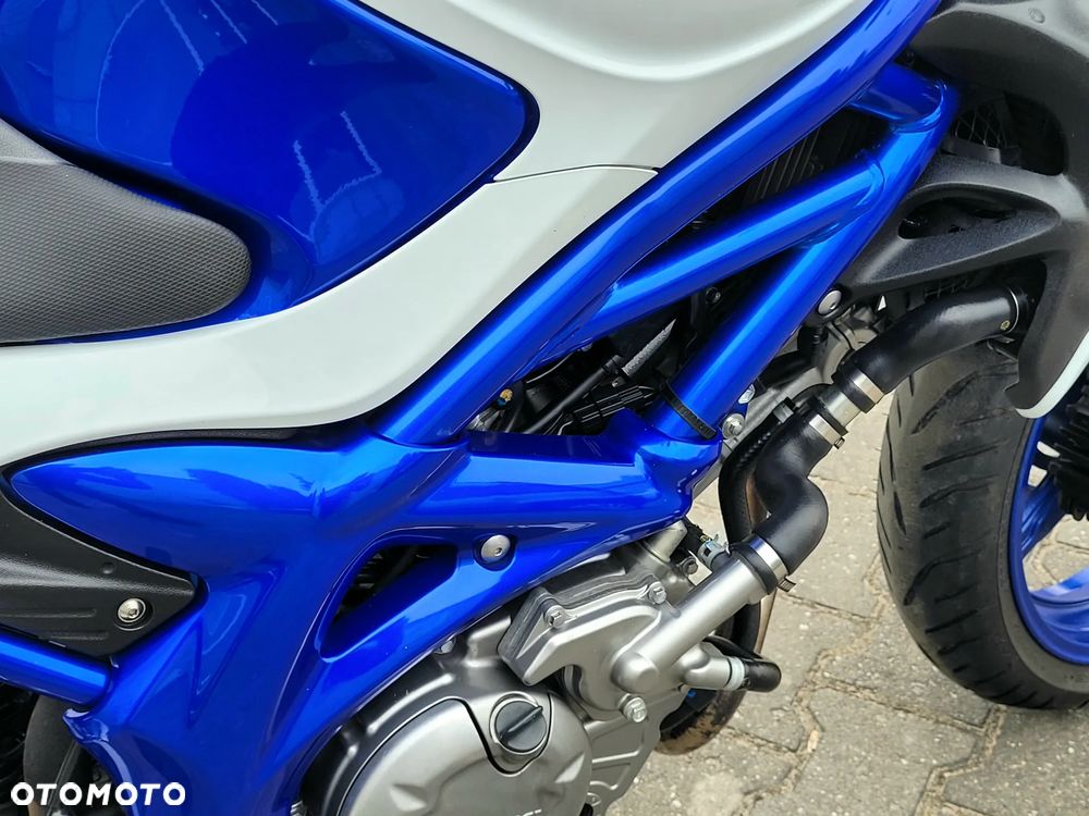 Suzuki Gladius - 21