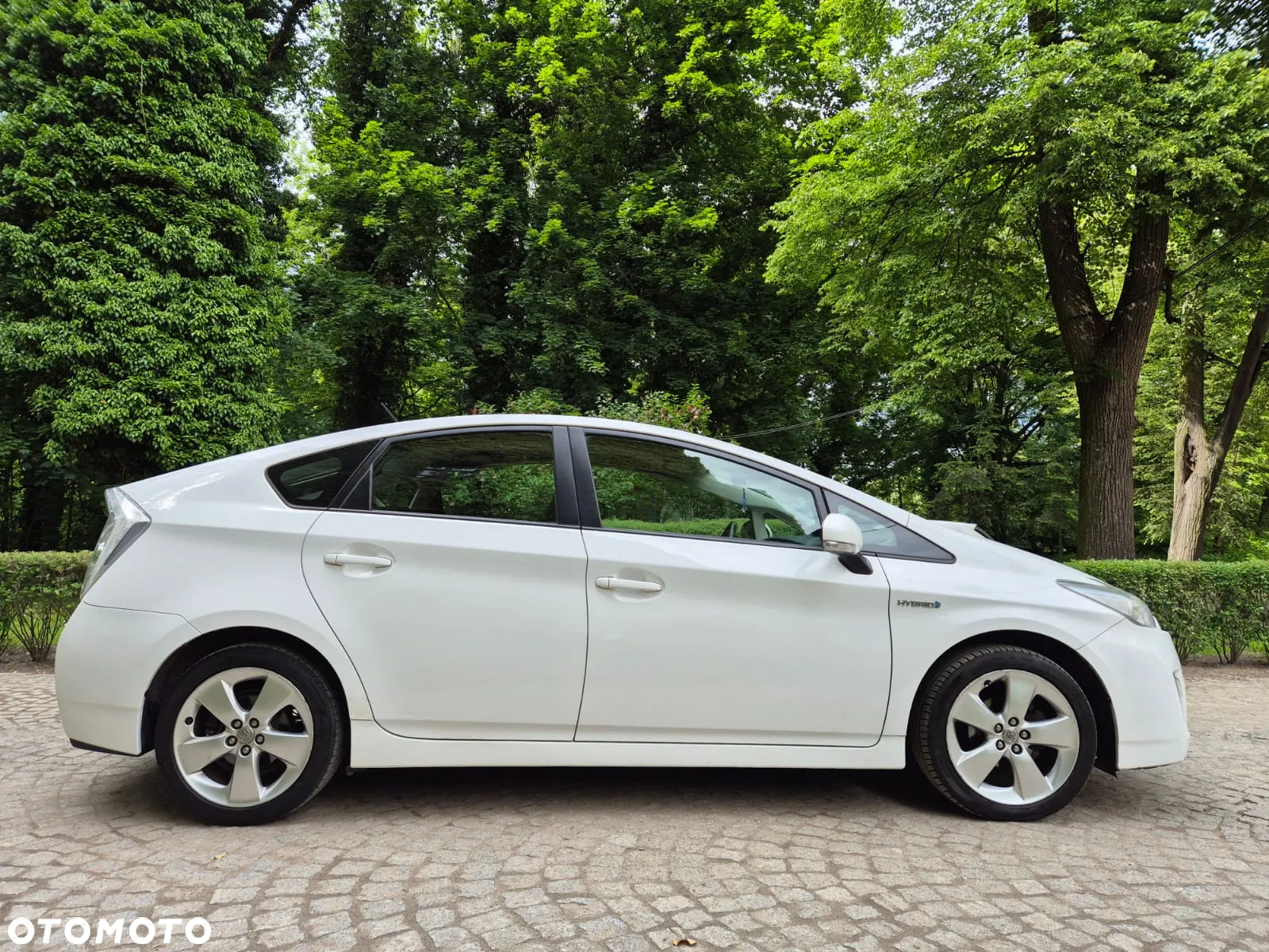 Toyota Prius (Hybrid) Executive - 13