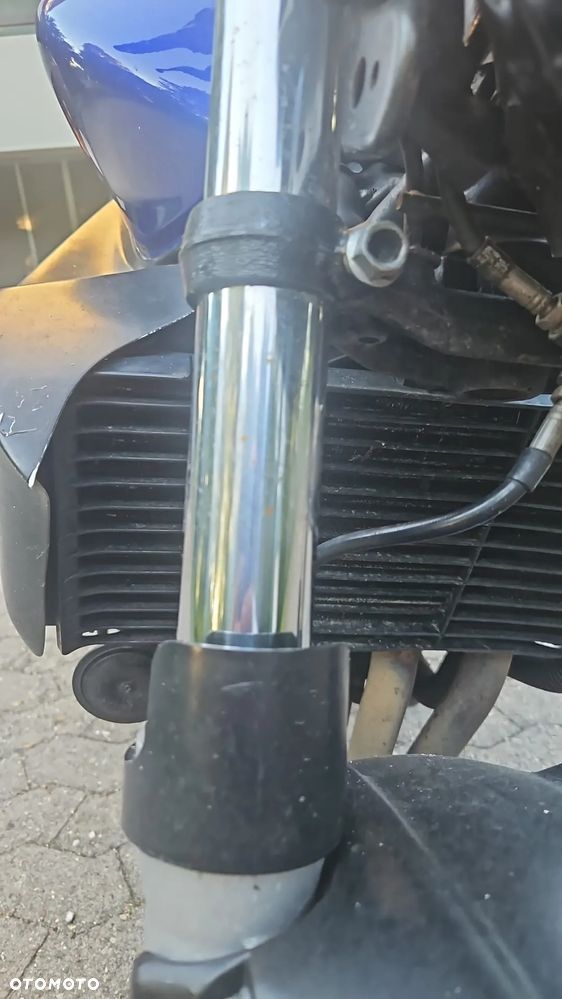 Honda Hornet - 9