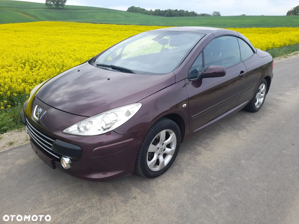 Peugeot 307 CC - 8